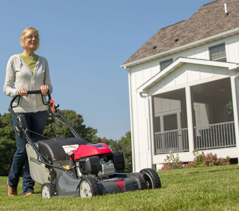 how-often-should-you-cut-your-grass-green-lawn-fertilizing